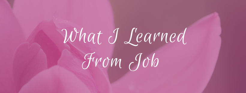 What I learned from job